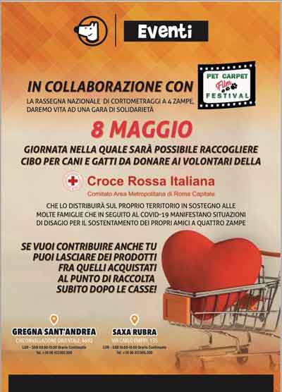 Pet-Carpet-Film-Festival