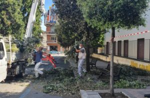 Manutenzioni per taglio erba e decoro urbano in corso ad Artena