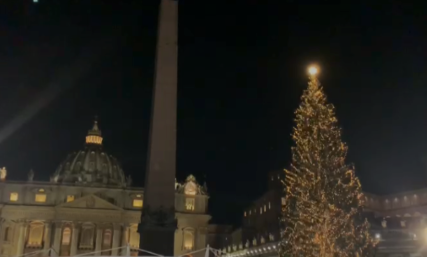 Accensione albero di Natale a San Pietro