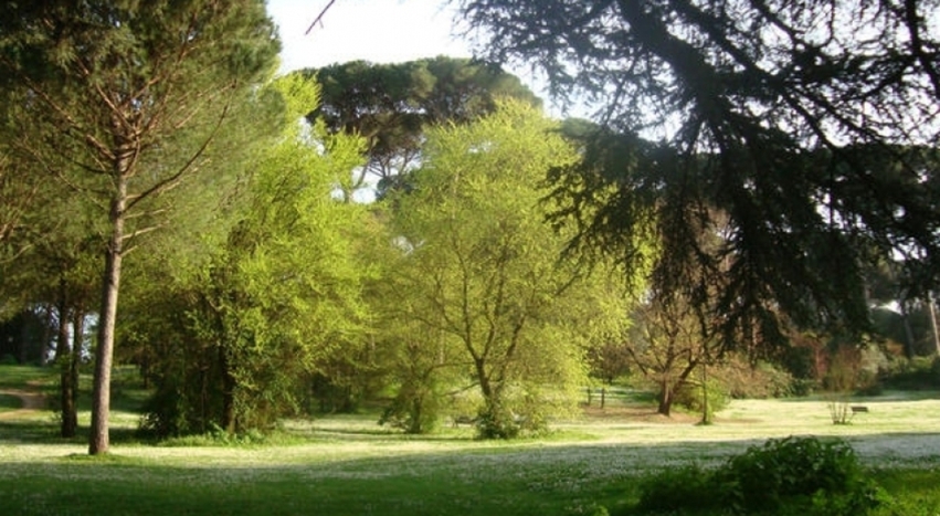 villa ada riforestazione