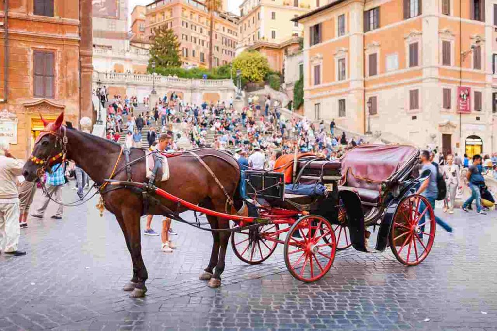 botticelle Roma piazza di Spagna