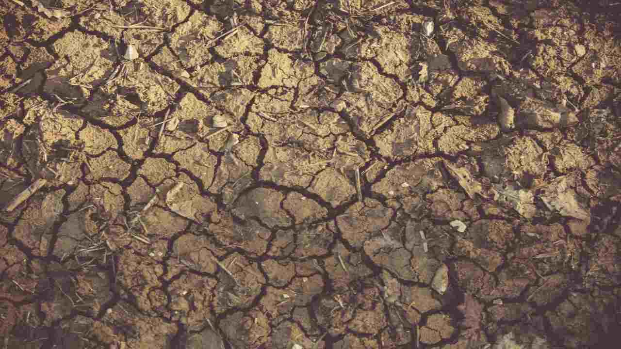 Terreno arido, siccità