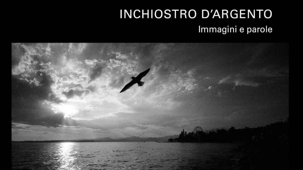 Copertina del libro