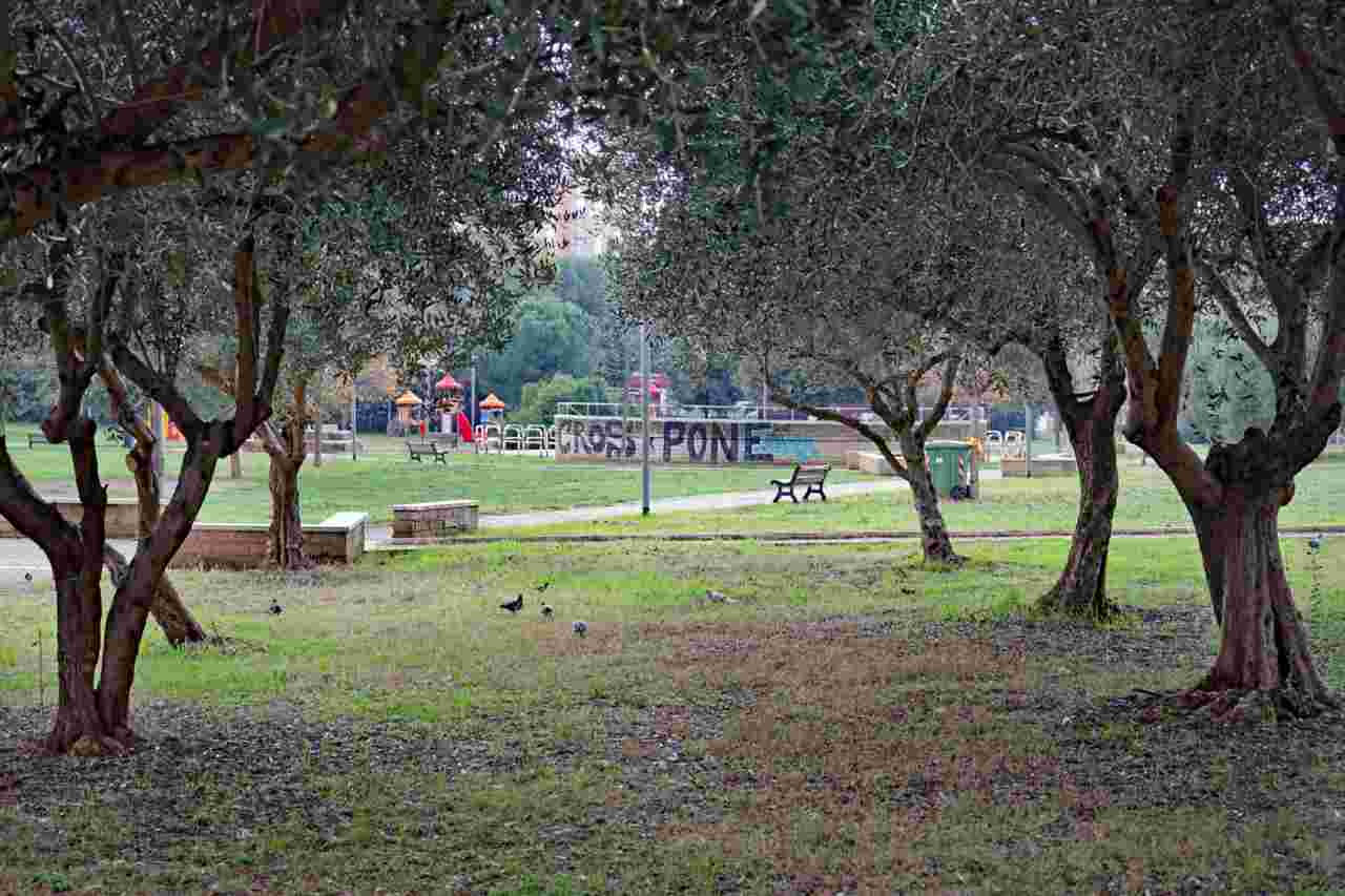 Parco dei Romanisti a Roma