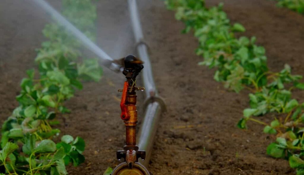 Annaffiatoio per campo coltivato