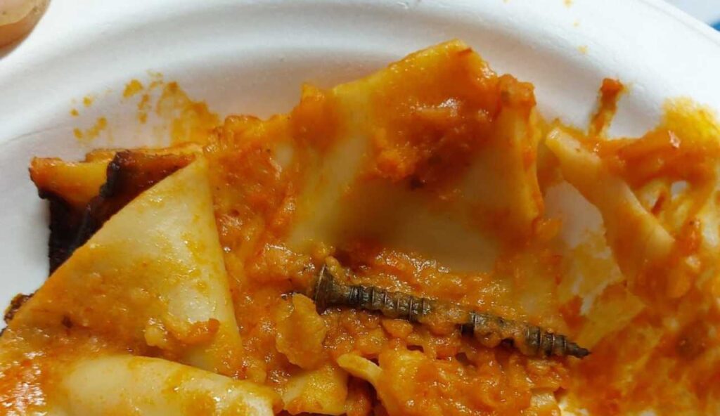 Un piatto di lasagna servito in una mensa scolastica con una vite di metallo inserita all'interno