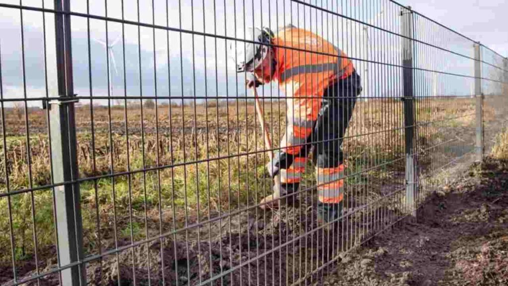 Montaggio di una rete per impedire il passaggio dei cinghiali