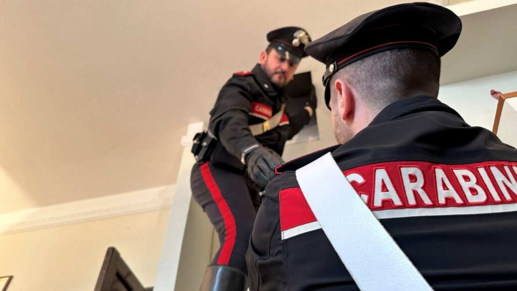 Carabinieri al lavoro