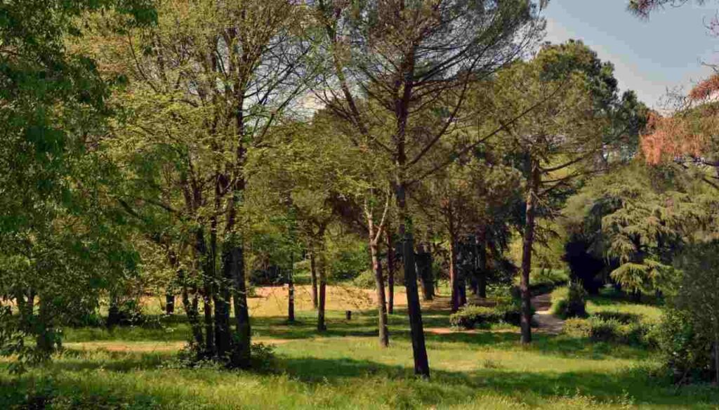 Villa Ada, Roma