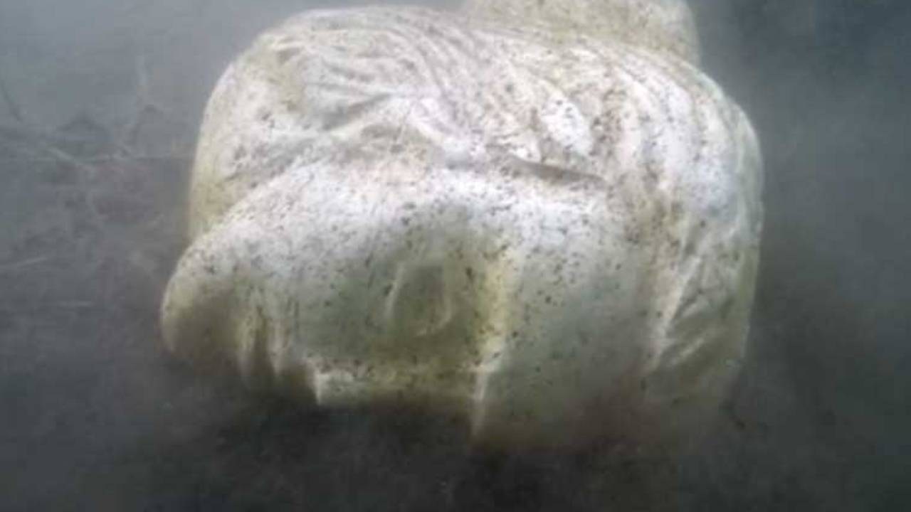 Testa di statua trovata sul fondale del Lago di Nemi