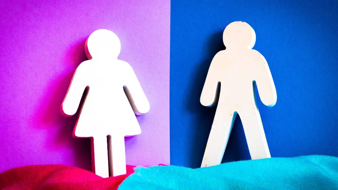 Sesso, femmina, maschio