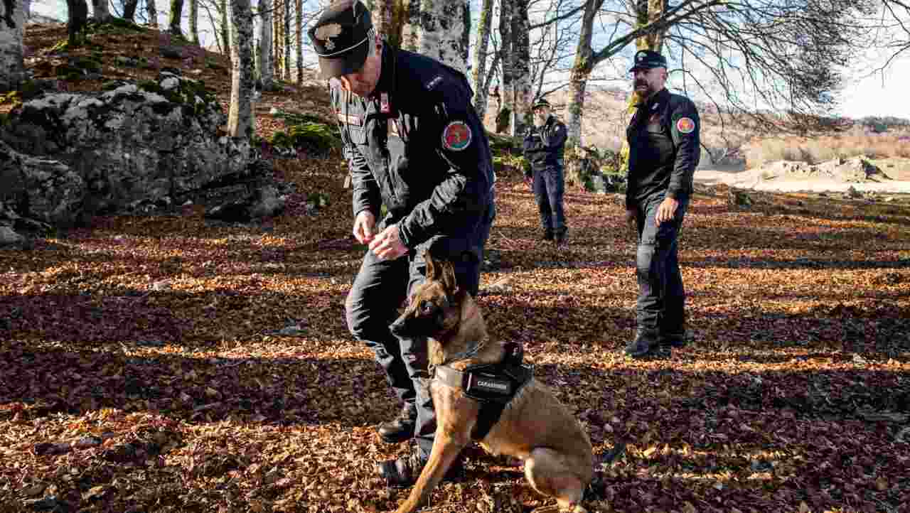 Carabinieri della Forestale con cani addestrati alle esche avvelenate