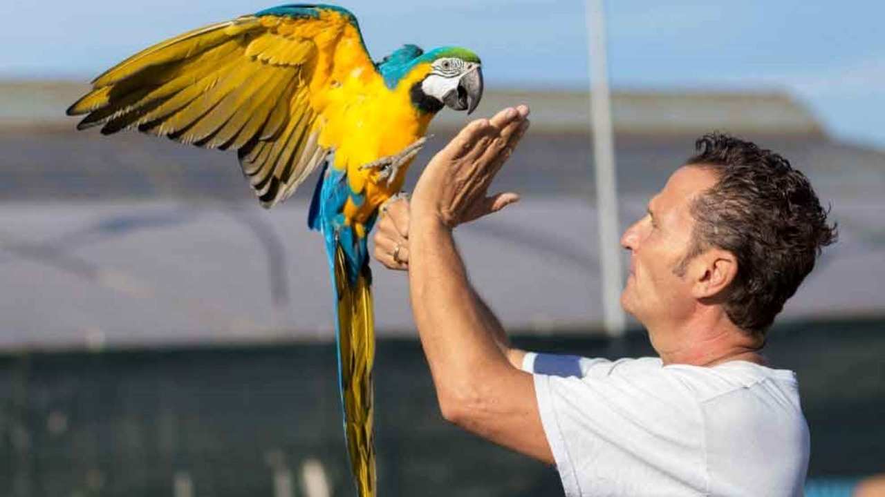 Enzo Salvi con pappagallo
