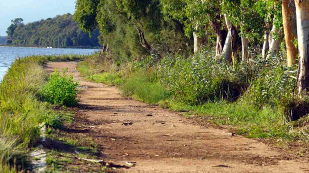 Sentiero di Folignano al parco del Circeo