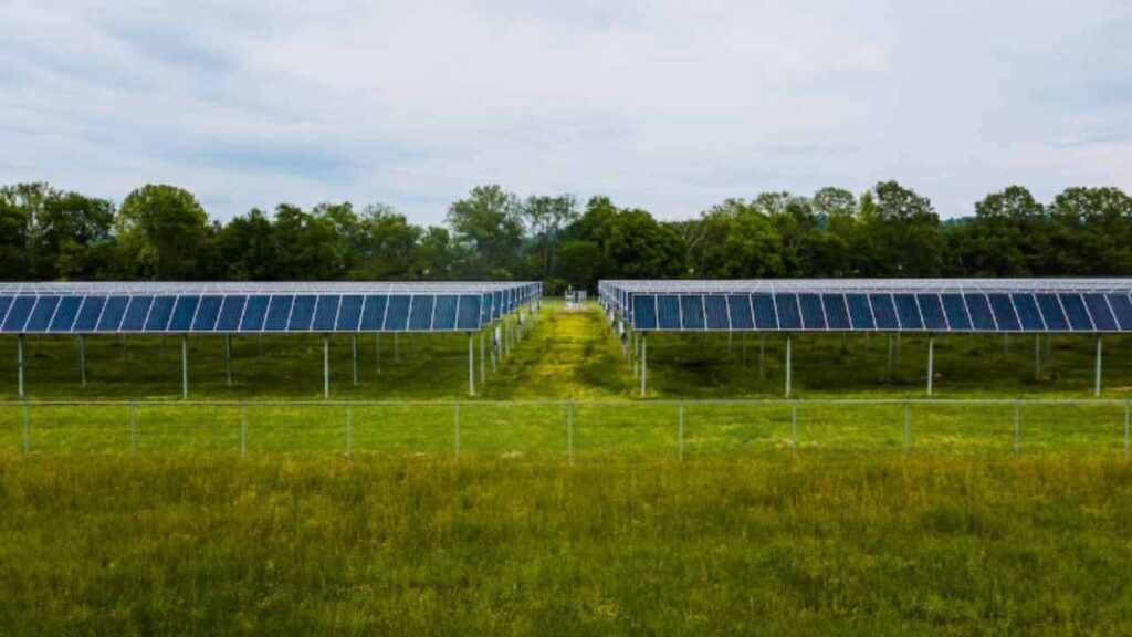 Pannelli fotovoltaici
