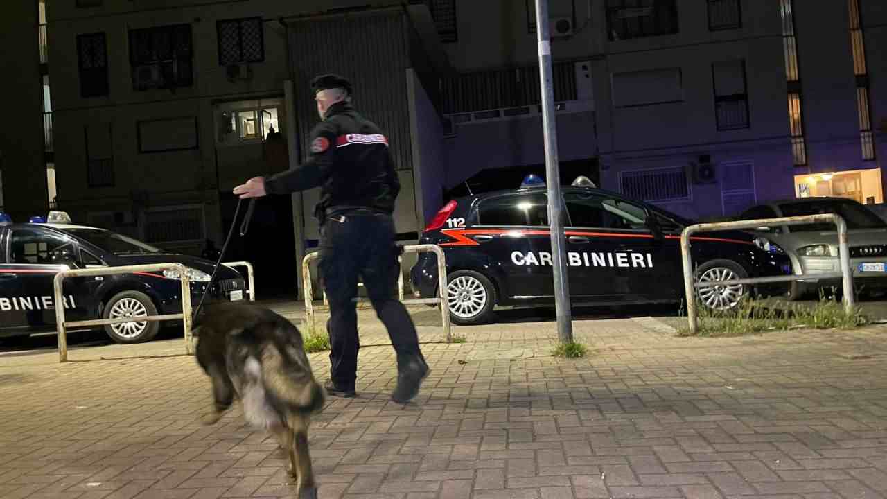 Carabiniere con cane antidroga