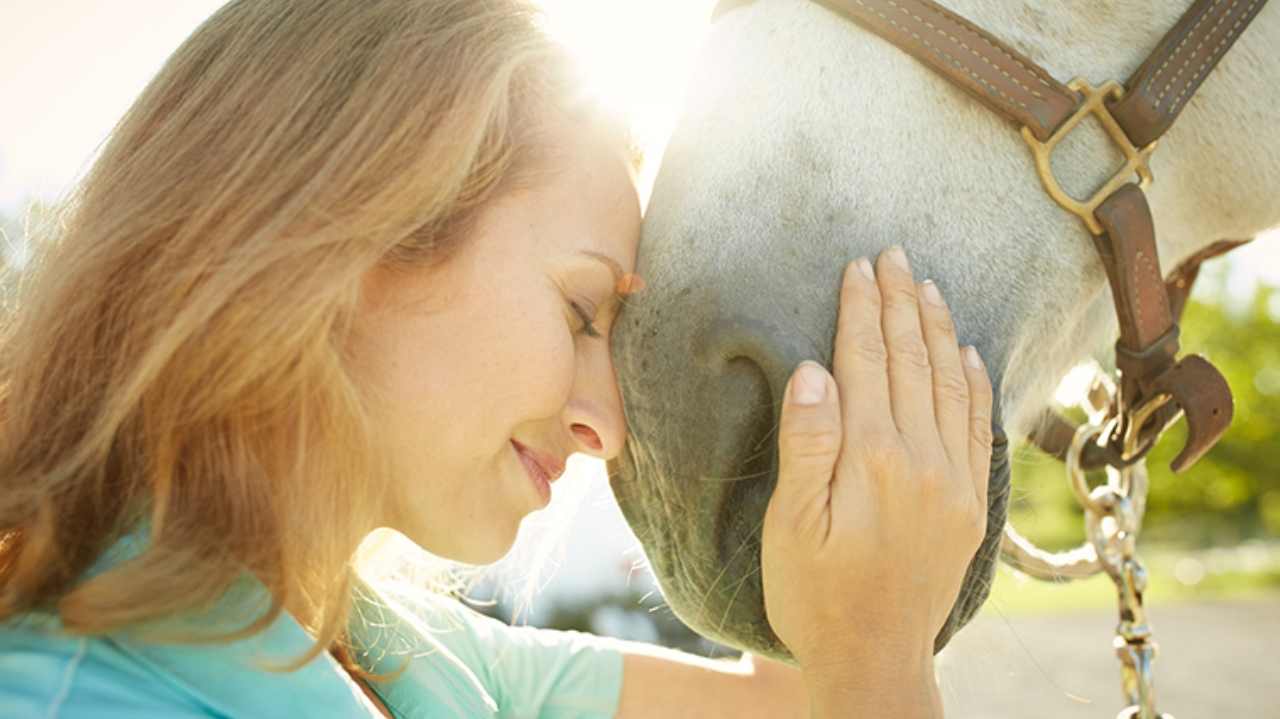 Una donna e un cavallo, pet therapy
