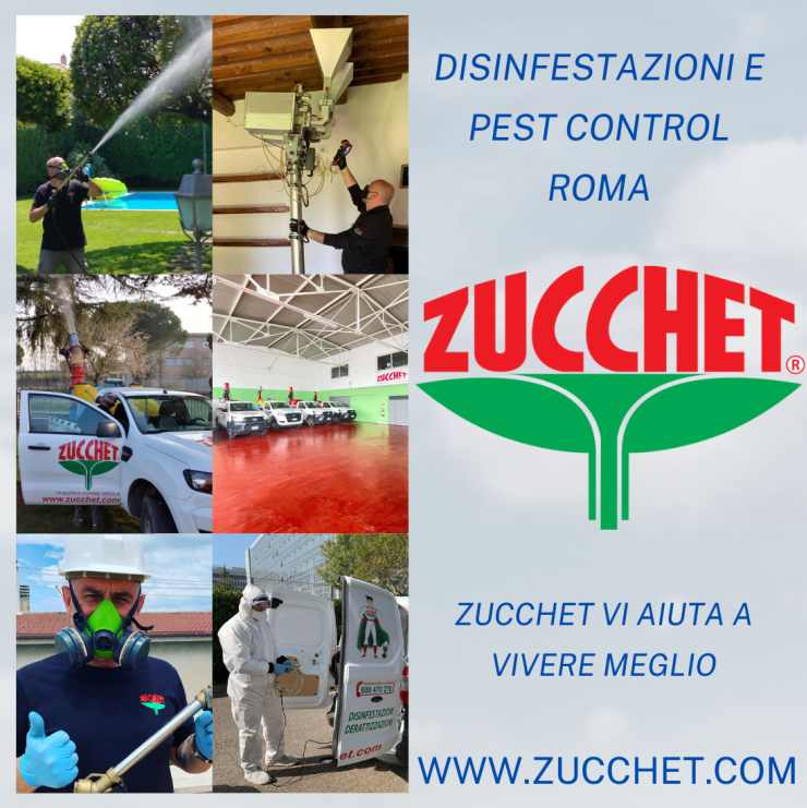 Zucchet disinfestazione zanzare tigre a Roma