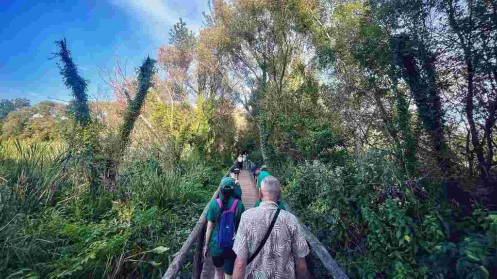 Trekking Cervelletta