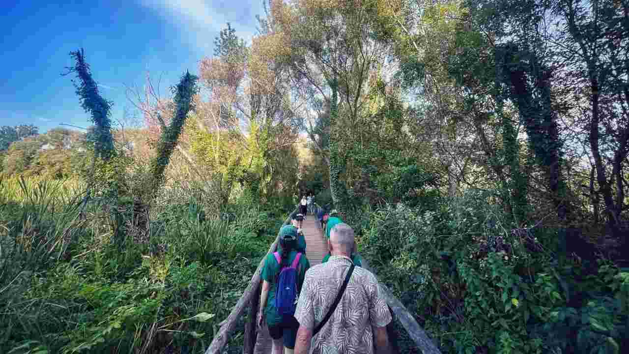 Trekking Cervelletta