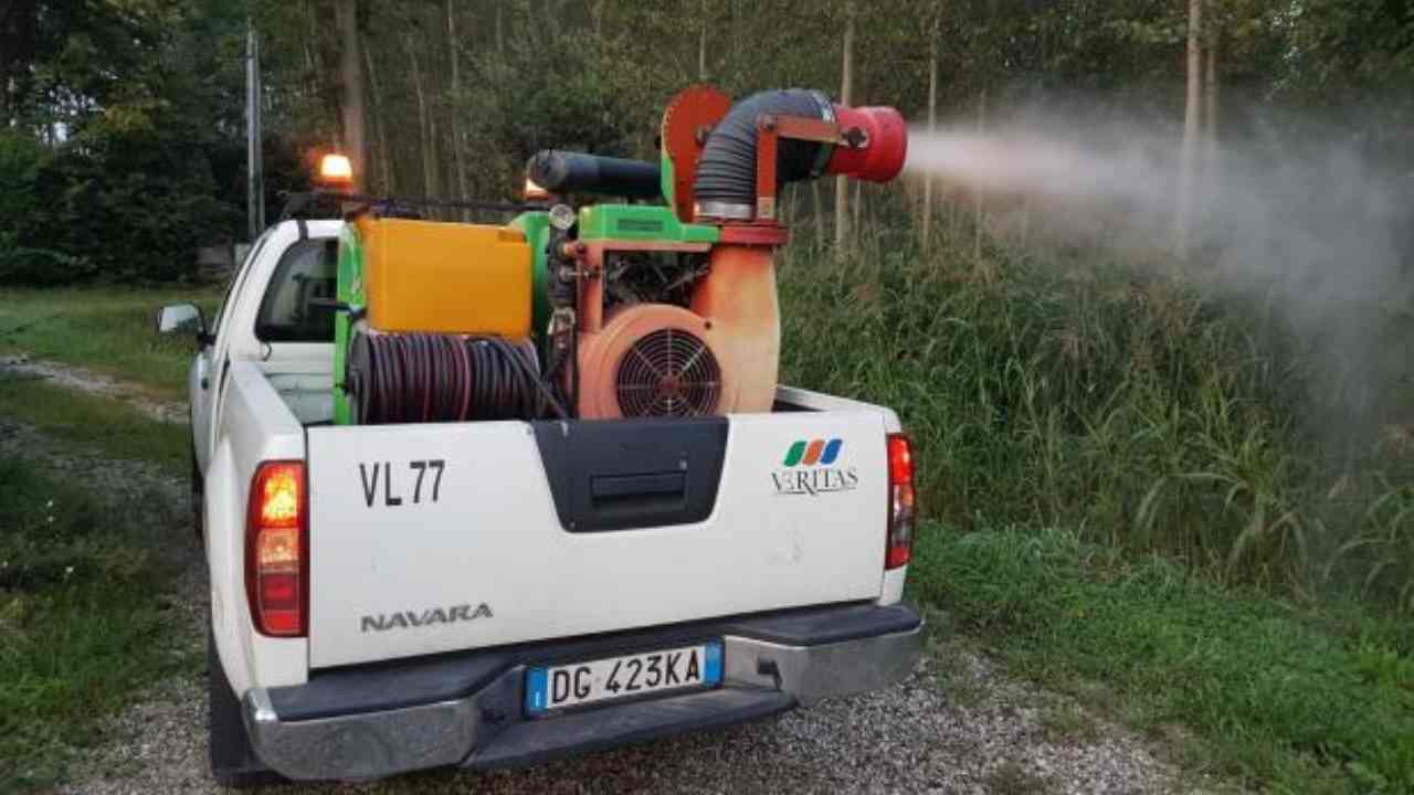 Disinfestazione
