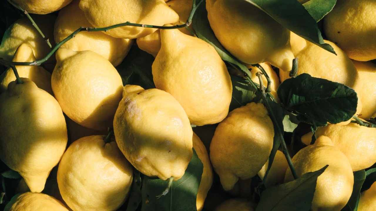 Limoni_Caruso Belmond