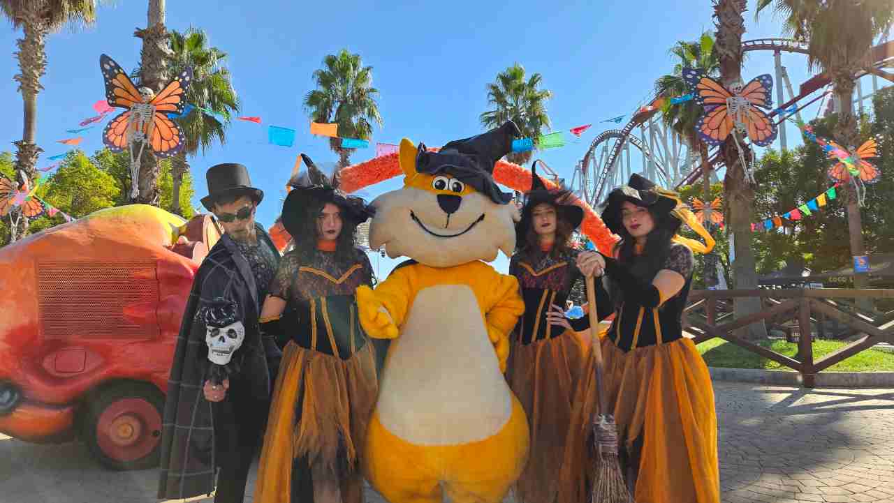 Gattobaleno Halloween