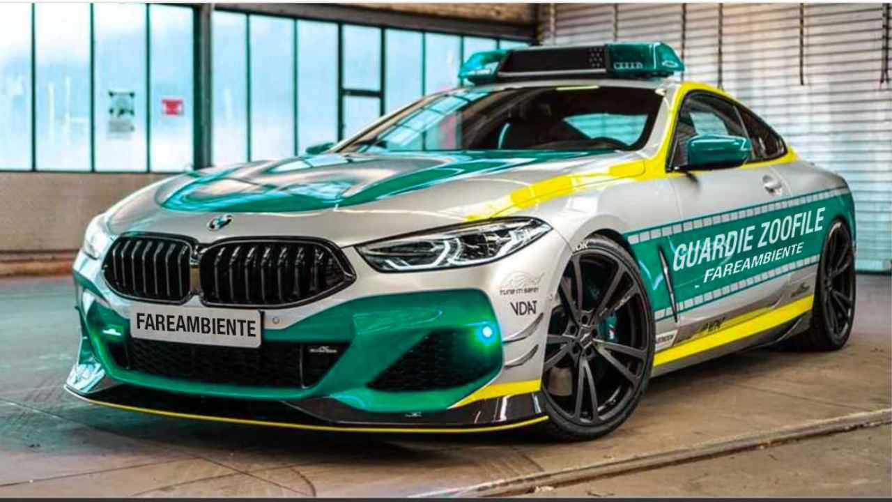 Auto delle Guardie Eco-Zoofile di Fare Ambiente per controllare il territoio