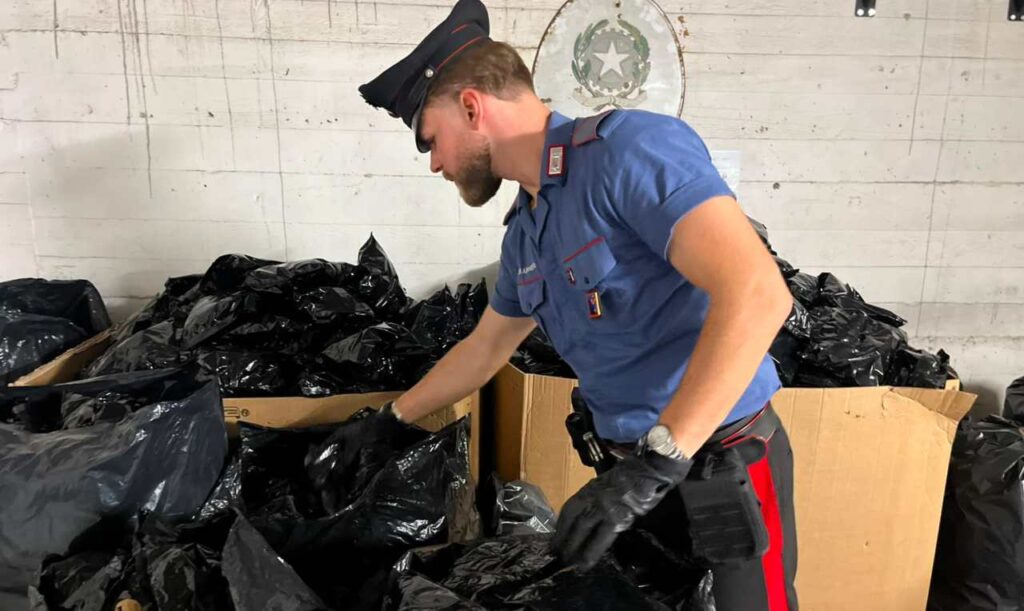 102 kg di oppio sequestrati dai Carabinieri
