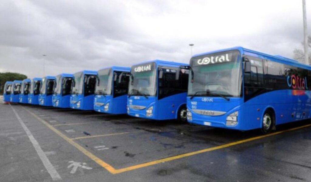 Bus Cotral