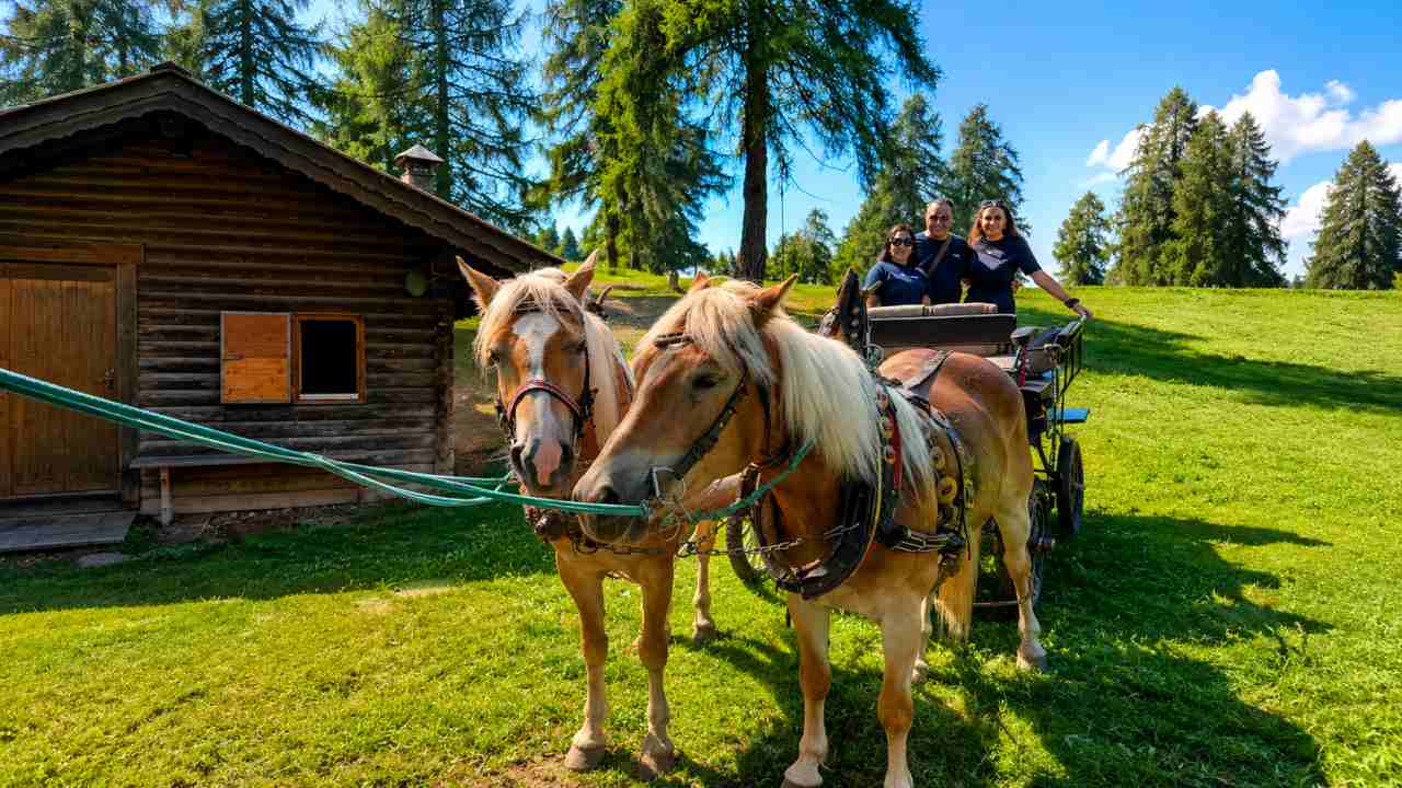 In carrozza a San Genesio (Bolzano)