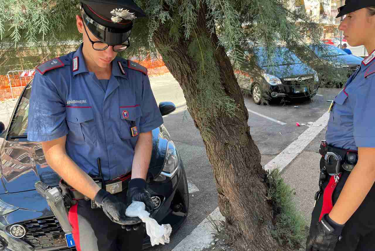 Ostia, la droga nascosta su un albero