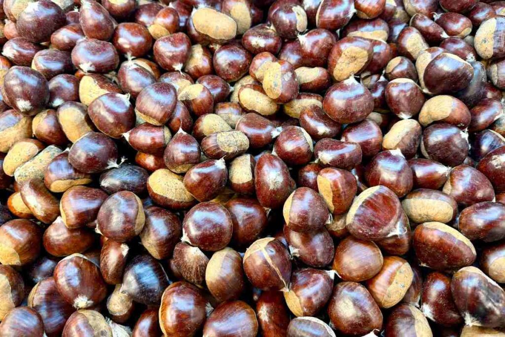Castagne, pexels joolsmagools