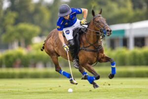 Polo La ginestra
