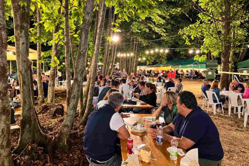 Sagra Fungo Porcino, bosco Colle di Fuori