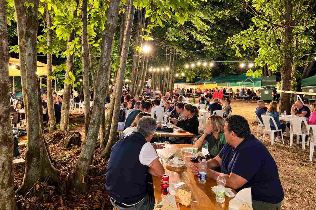 Sagra Fungo Porcino, bosco Colle di Fuori