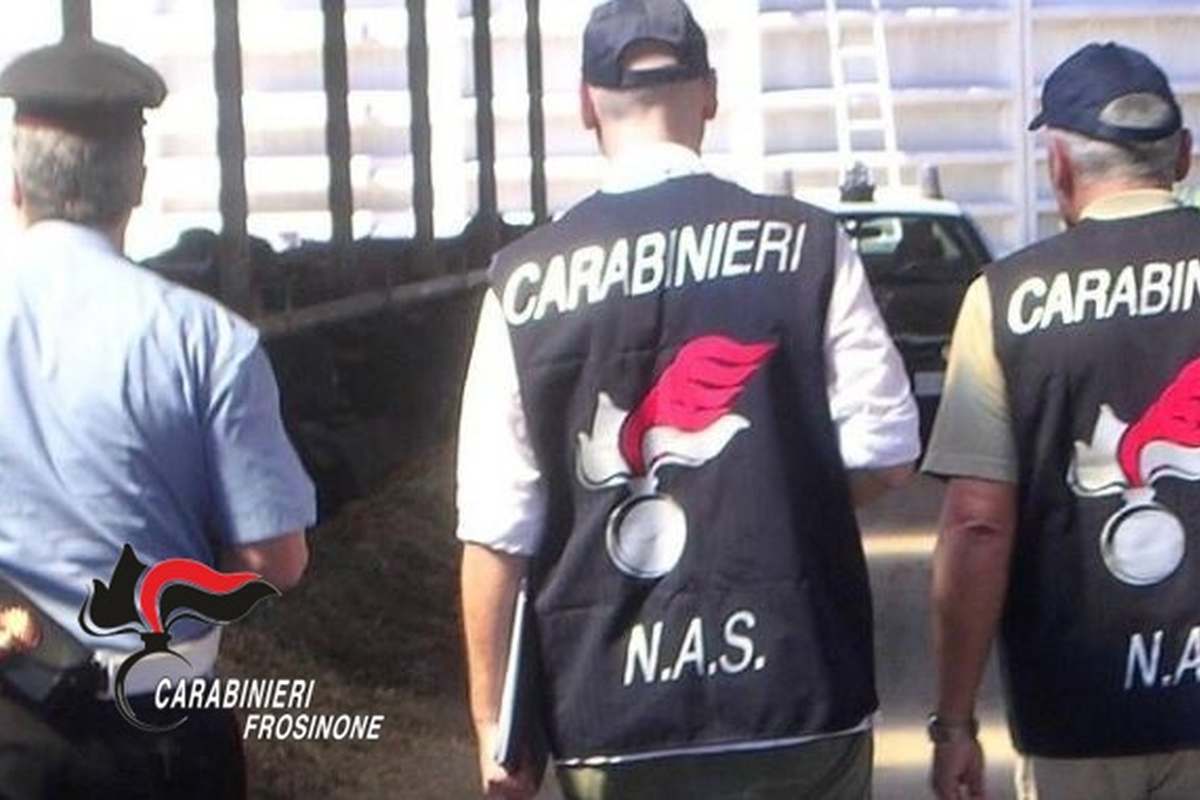 Carabinieri Nas Frosinone