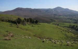 Parco dei Castelli Romani