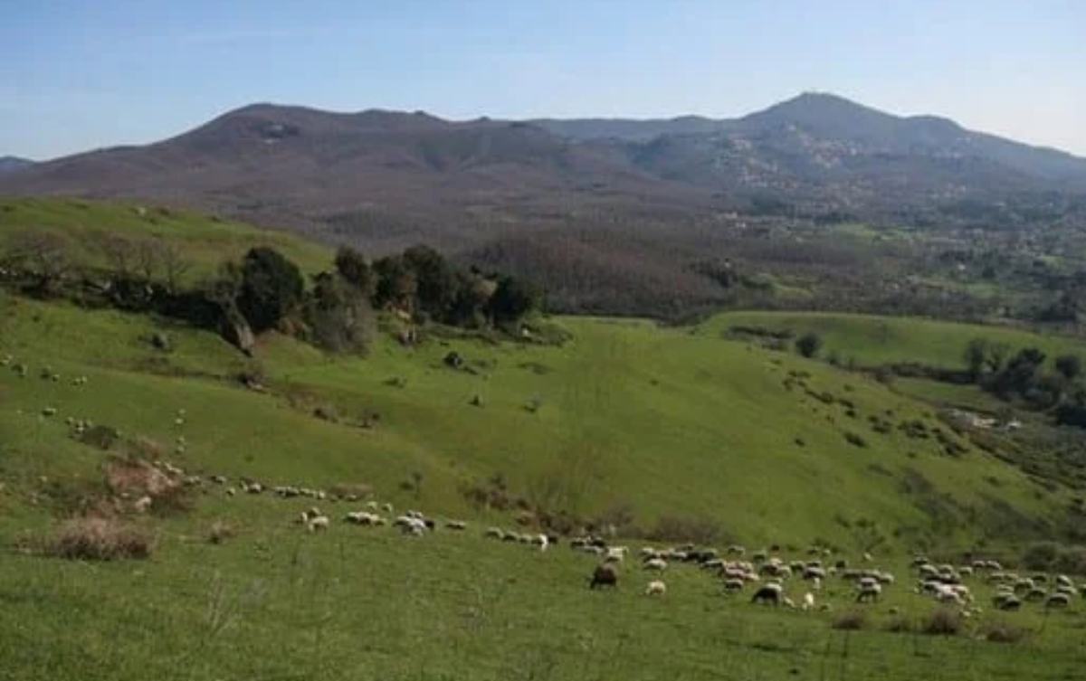Parco dei Castelli Romani