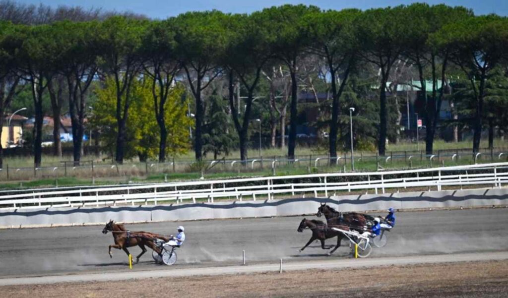 Ippodromo Capannelle, cavalli al trotto