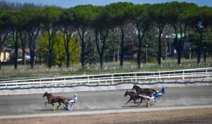 Ippodromo Capannelle, cavalli al trotto